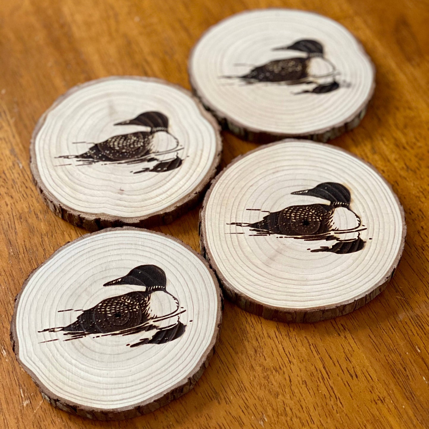 Four wooden coasters with loon illustrations on a wooden surface