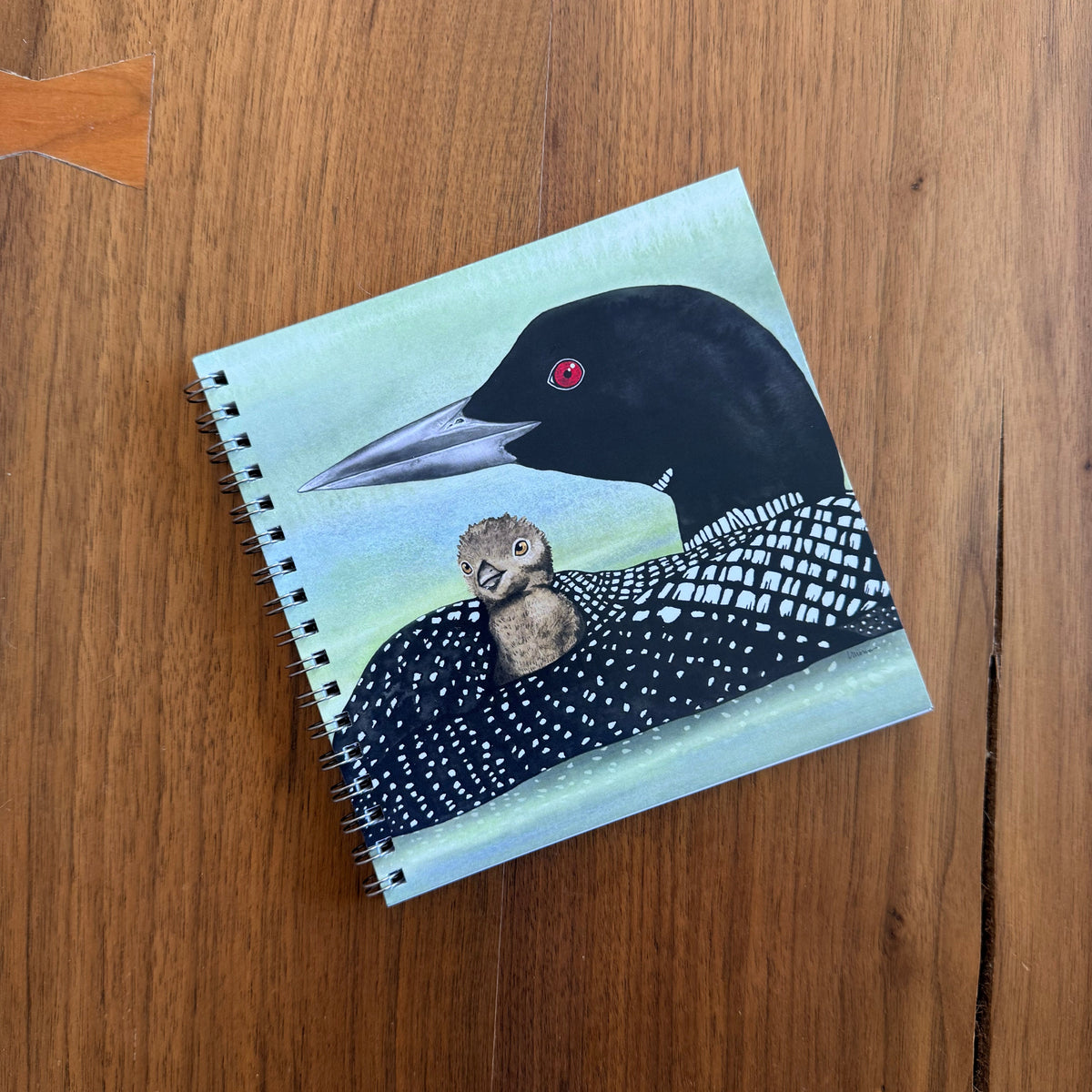 Loon & Chick Watercolor Notebook